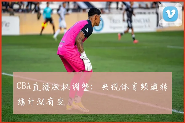 CBA直播版权调整:央视体育频道转播计划有变