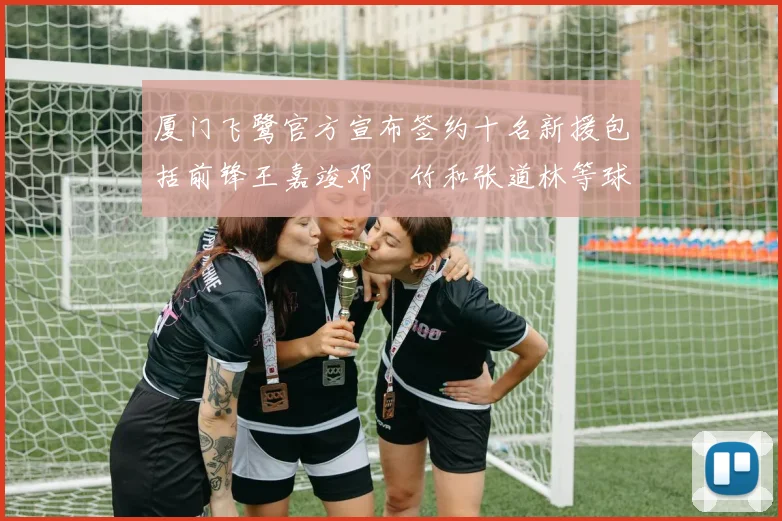 厦门飞鹭官方宣布签约十名新援包括前锋王嘉竣邓棽竹和张道林等球员