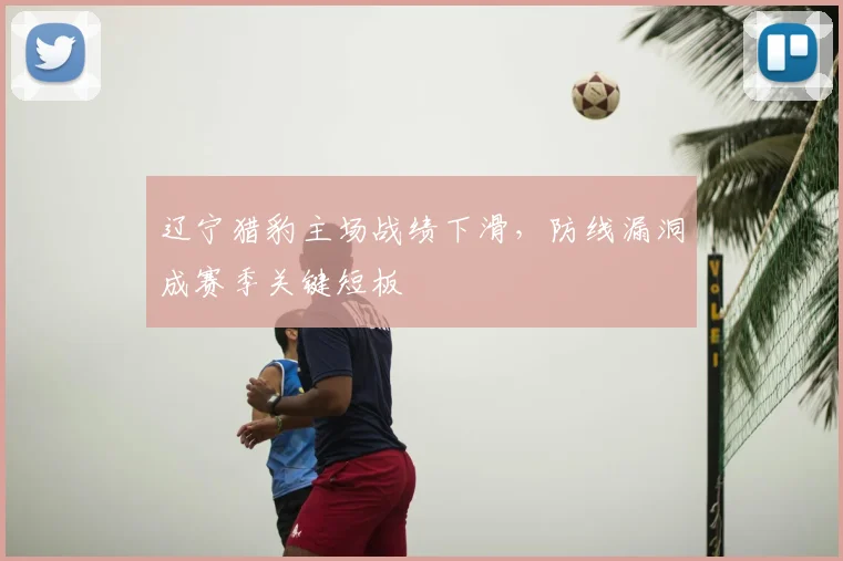 辽宁猎豹主场战绩下滑,防线漏洞成赛季关键短板
