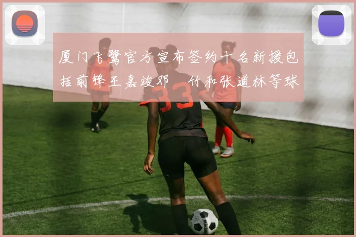 厦门飞鹭官方宣布签约十名新援包括前锋王嘉竣邓棽竹和张道林等球员