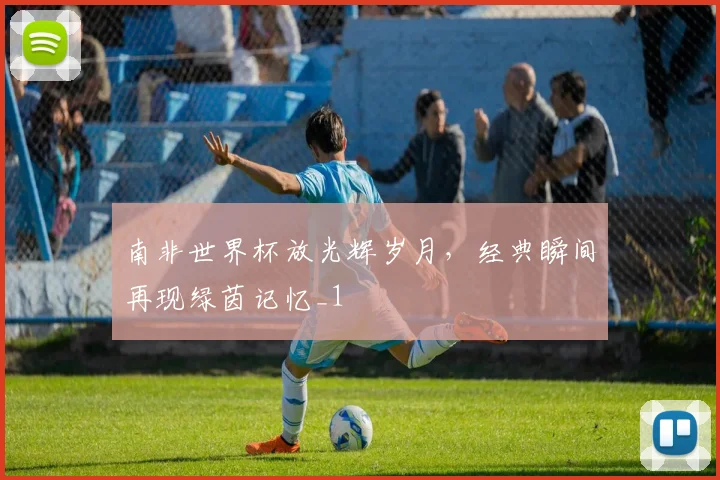南非世界杯放光辉岁月，经典瞬间再现绿茵记忆_1