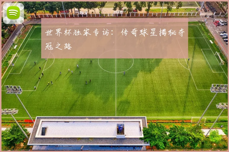 世界杯独家专访:传奇球星揭秘夺冠之路
