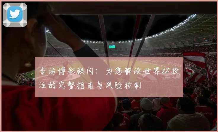 专访博彩顾问：为您解读世界杯投注的完整指南与风险控制