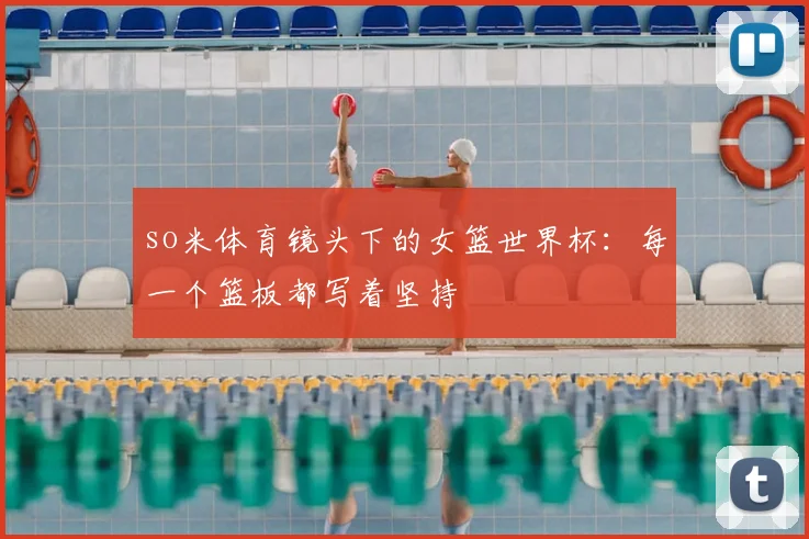 so米体育镜头下的女篮世界杯：每一个篮板都写着坚持