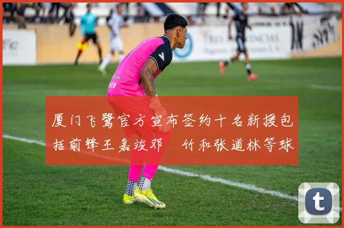 厦门飞鹭官方宣布签约十名新援包括前锋王嘉竣邓棽竹和张道林等球员