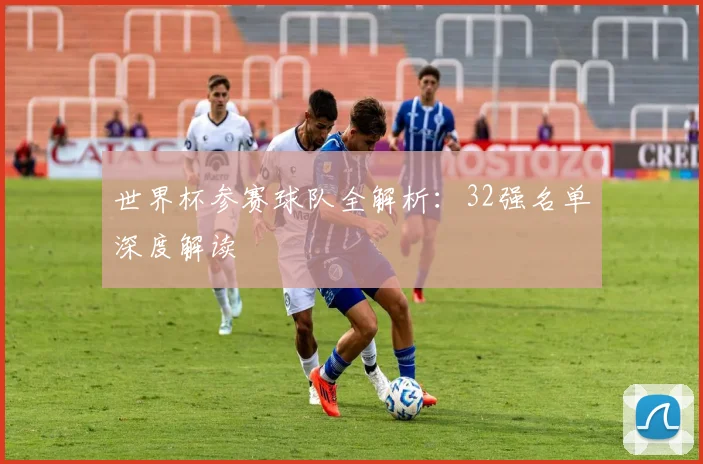 世界杯参赛球队全解析：32强名单深度解读