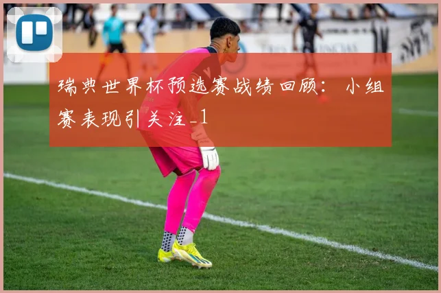 瑞典世界杯预选赛战绩回顾：小组赛表现引关注_1