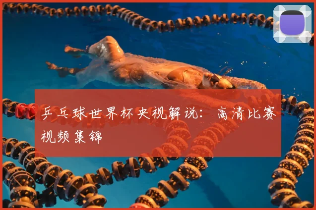 乒乓球世界杯央视解说：高清比赛视频集锦