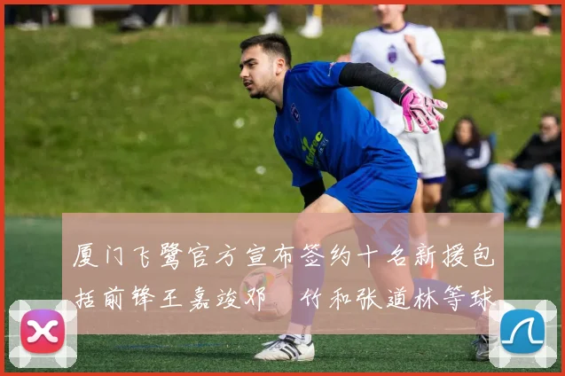 厦门飞鹭官方宣布签约十名新援包括前锋王嘉竣邓棽竹和张道林等球员