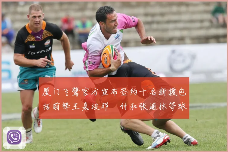 厦门飞鹭官方宣布签约十名新援包括前锋王嘉竣邓棽竹和张道林等球员