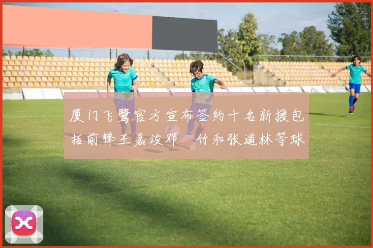 厦门飞鹭官方宣布签约十名新援包括前锋王嘉竣邓棽竹和张道林等球员
