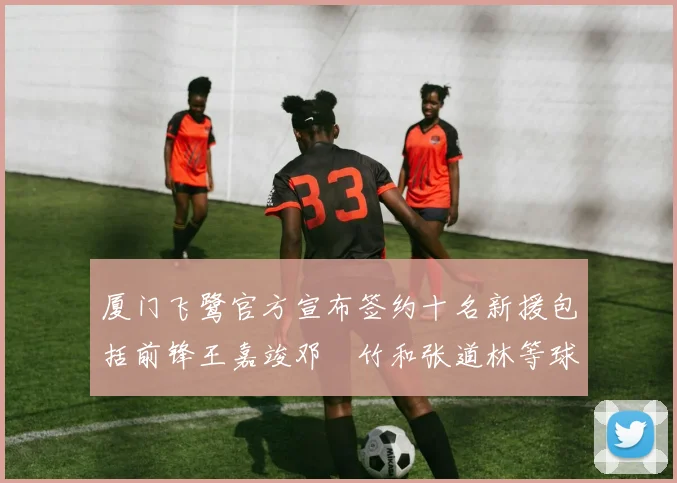 厦门飞鹭官方宣布签约十名新援包括前锋王嘉竣邓棽竹和张道林等球员