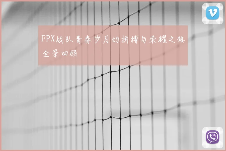 FPX战队青春岁月的拼搏与荣耀之路全景回顾