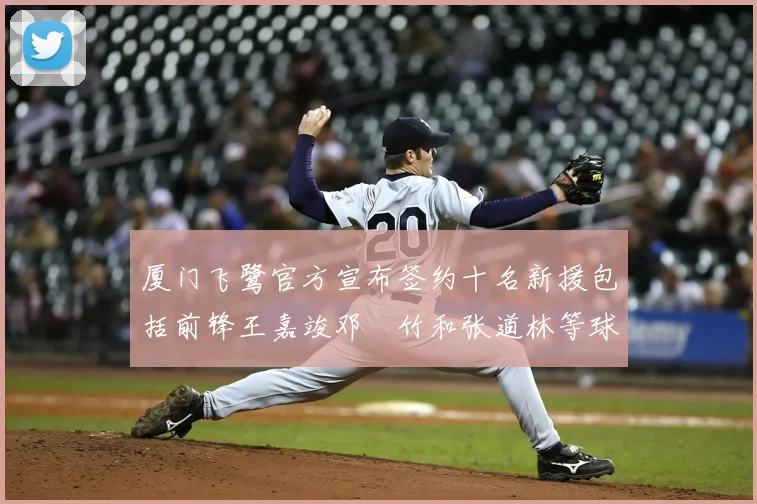 厦门飞鹭官方宣布签约十名新援包括前锋王嘉竣邓棽竹和张道林等球员
