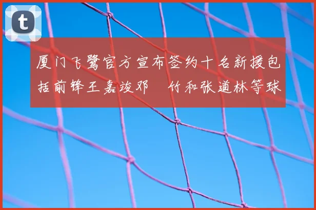 厦门飞鹭官方宣布签约十名新援包括前锋王嘉竣邓棽竹和张道林等球员