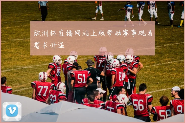 欧洲杯直播网站上线带动赛事观看需求升温