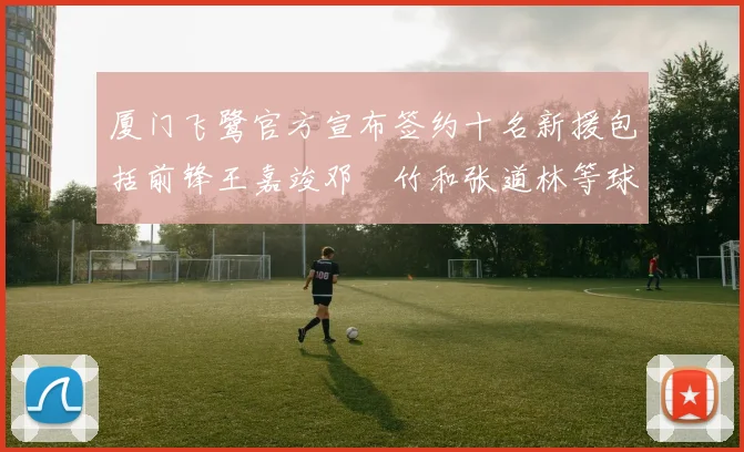 厦门飞鹭官方宣布签约十名新援包括前锋王嘉竣邓棽竹和张道林等球员