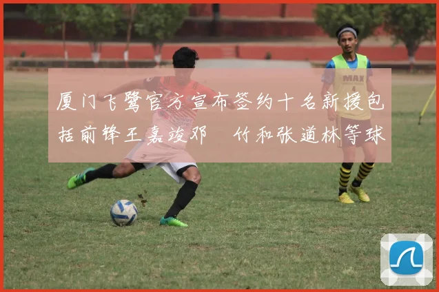 厦门飞鹭官方宣布签约十名新援包括前锋王嘉竣邓棽竹和张道林等球员