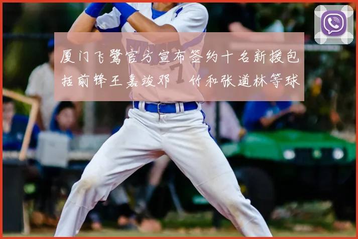 厦门飞鹭官方宣布签约十名新援包括前锋王嘉竣邓棽竹和张道林等球员