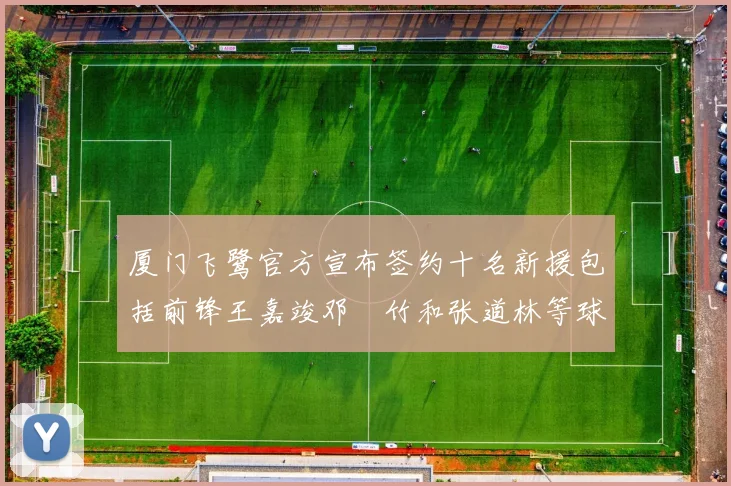 厦门飞鹭官方宣布签约十名新援包括前锋王嘉竣邓棽竹和张道林等球员