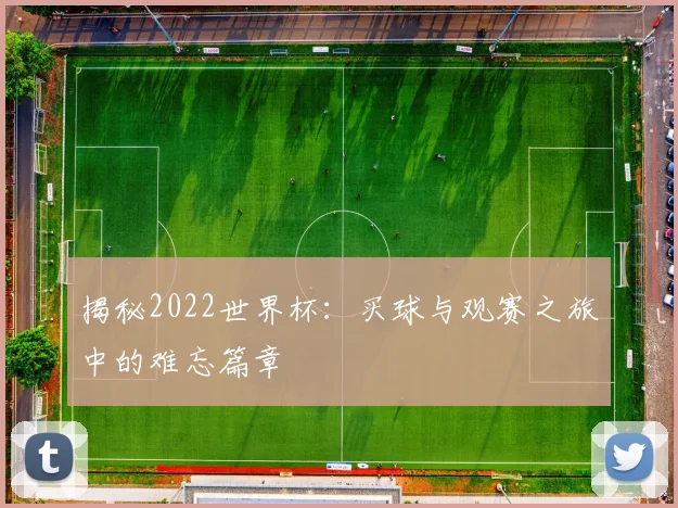 揭秘2022世界杯:买球与观赛之旅中的难忘篇章