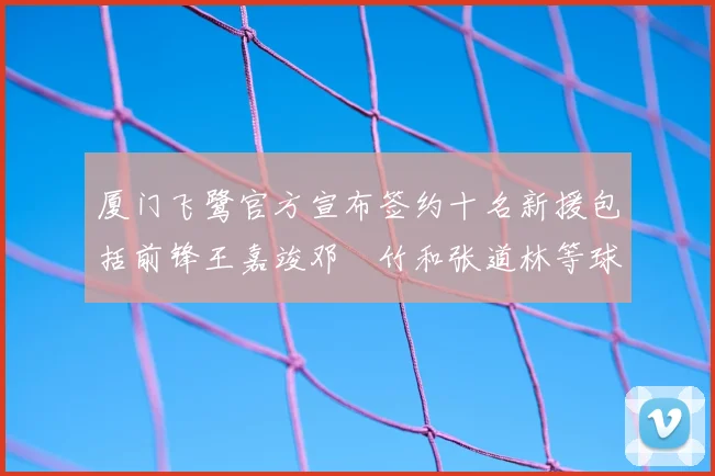 厦门飞鹭官方宣布签约十名新援包括前锋王嘉竣邓棽竹和张道林等球员