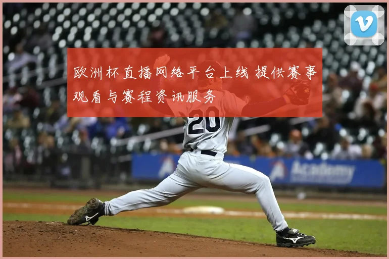 欧洲杯直播网络平台上线 提供赛事观看与赛程资讯服务