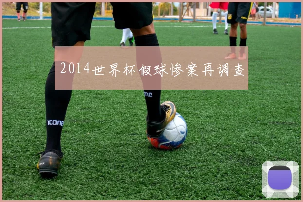 2014世界杯假球惨案再调查