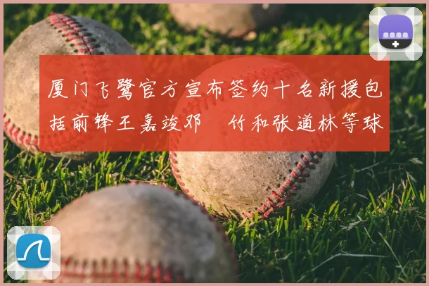 厦门飞鹭官方宣布签约十名新援包括前锋王嘉竣邓棽竹和张道林等球员
