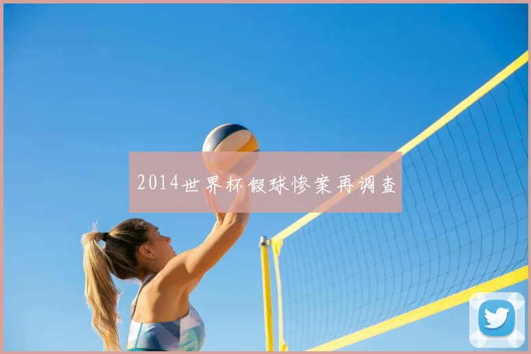 2014世界杯假球惨案再调查