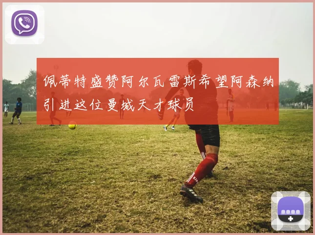 佩蒂特盛赞阿尔瓦雷斯希望阿森纳引进这位曼城天才球员