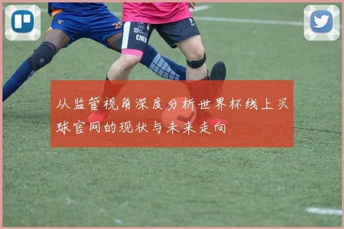 从监管视角深度分析世界杯线上买球官网的现状与未来走向