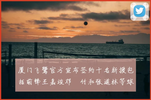 厦门飞鹭官方宣布签约十名新援包括前锋王嘉竣邓棽竹和张道林等球员