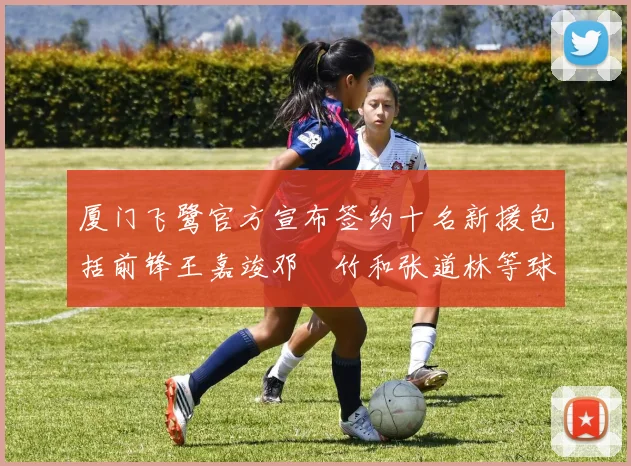 厦门飞鹭官方宣布签约十名新援包括前锋王嘉竣邓棽竹和张道林等球员