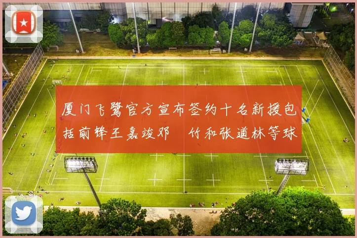 厦门飞鹭官方宣布签约十名新援包括前锋王嘉竣邓棽竹和张道林等球员