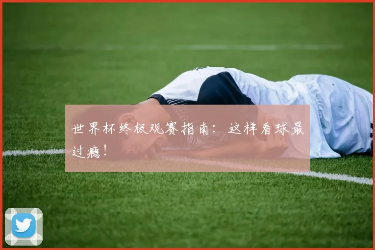 世界杯终极观赛指南:这样看球最过瘾!