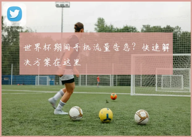 世界杯期间手机流量告急？快速解决方案在这里