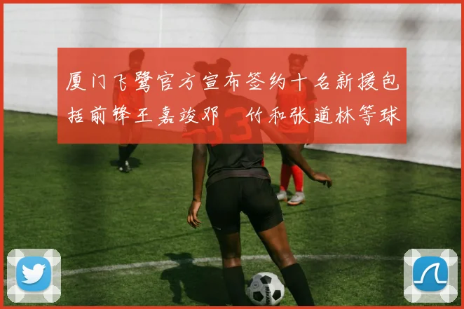 厦门飞鹭官方宣布签约十名新援包括前锋王嘉竣邓棽竹和张道林等球员