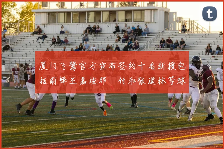 厦门飞鹭官方宣布签约十名新援包括前锋王嘉竣邓棽竹和张道林等球员