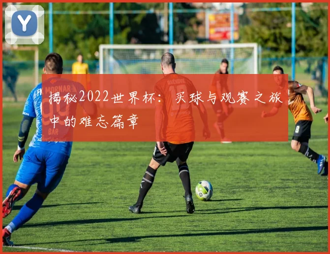 揭秘2022世界杯:买球与观赛之旅中的难忘篇章