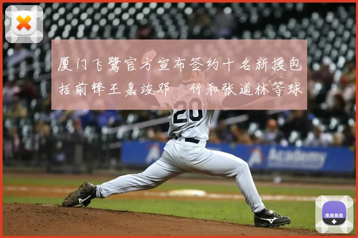 厦门飞鹭官方宣布签约十名新援包括前锋王嘉竣邓棽竹和张道林等球员