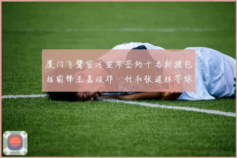 厦门飞鹭官方宣布签约十名新援包括前锋王嘉竣邓棽竹和张道林等球员