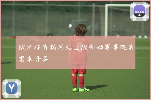 欧洲杯直播网站上线带动赛事观看需求升温