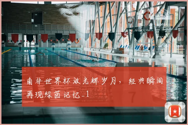 南非世界杯放光辉岁月，经典瞬间再现绿茵记忆_1